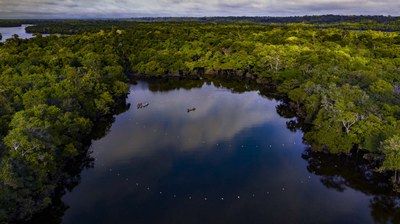 Chefs visit Amazon pirarucu management projects