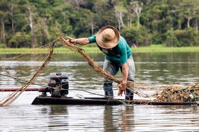 Climate change affects biodiversity and traditional communities living in Médio Juruá