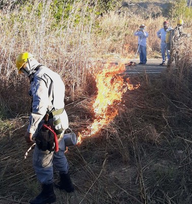 'Guardians of the Forest': Indigenous people fighting fires and working for preservation