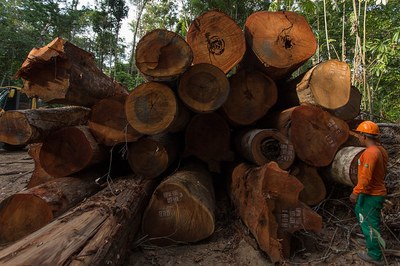 IEB promotes expert discussion rounds for Verde para Sempre community members involved in community forestry