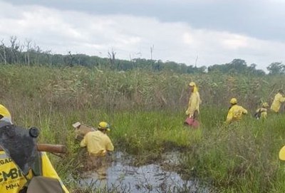 Online training helps firefighting in Brazilian biomes