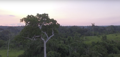 Participatory Monitoring in the Cazumbá-Iracema Extractivist Reserve