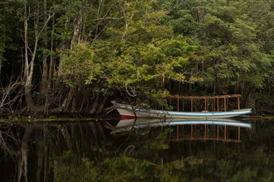 Recreation Opportunities on Conservation Units Visits