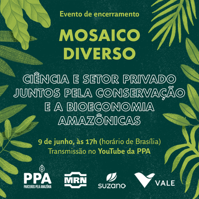 Mosaico Diverso - Evento de Encerramento