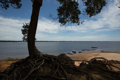 Interpretação Ambiental nas Unidades de Conservação Federais