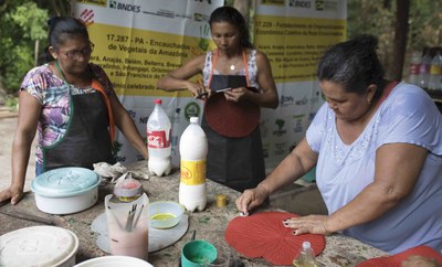 Empresa acelerada pela PPA busca ganhar escala com parceiros que produzem borracha