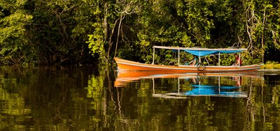 USAID e empresas privadas lançam plataforma para promover desenvolvimento sustentável na Amazônia