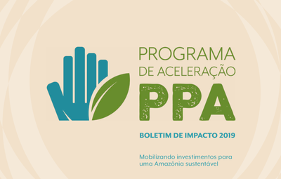 Negócios acelerados por programa da PPA em seu primeiro ano ajudam a proteger 873 mil hectares de floresta