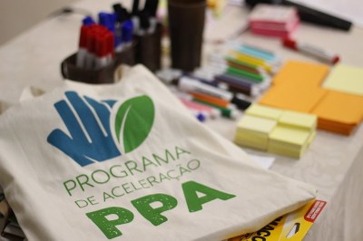 Novas 15 iniciativas são selecionadas para o Programa de Aceleração da Plataforma Parceiros pela Amazônia (PPA)