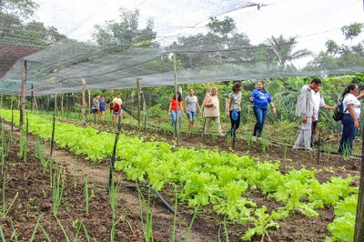 Parceria une PPA, USAID, Alcoa e instituição local para consolidar agenda sustentável em município paraense