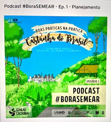 Projetos de produção de castanha se adaptam para superar desafio da pandemia