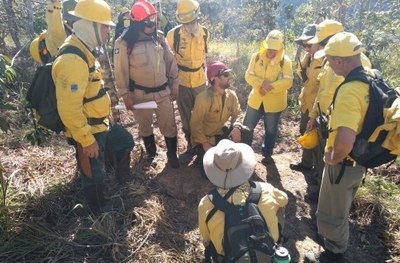 USAID e Serviço Florestal dos EUA lançam novo programa para Manejo Florestal e Prevenção de Fogo no Brasil